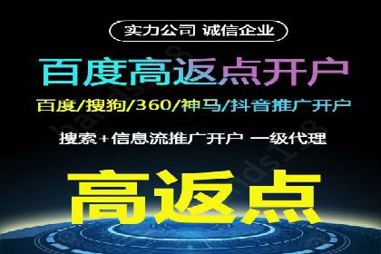 揭秘百度竞价广告：实战案例分析及优化策略